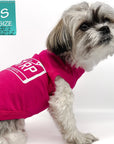 Dog T-Shirt - Shih Tzu Mix wearing Road Trip T-Shirt in Hot Pink with Road Trip License Plate - against solid white background - Wag Trendz