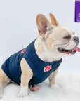 Dog T-Shirt - French Bulldog wearing "Sorry Not Sorry" black dog t-shirt with red and white hashtag emoji on chest red and white lettering on back- against solid white background - Wag Trendz