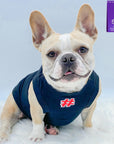 Dog T-Shirt - French Bulldog wearing "Sorry Not Sorry" black dog t-shirt with red and white hashtag emoji on chest - against solid white background - Wag Trendz