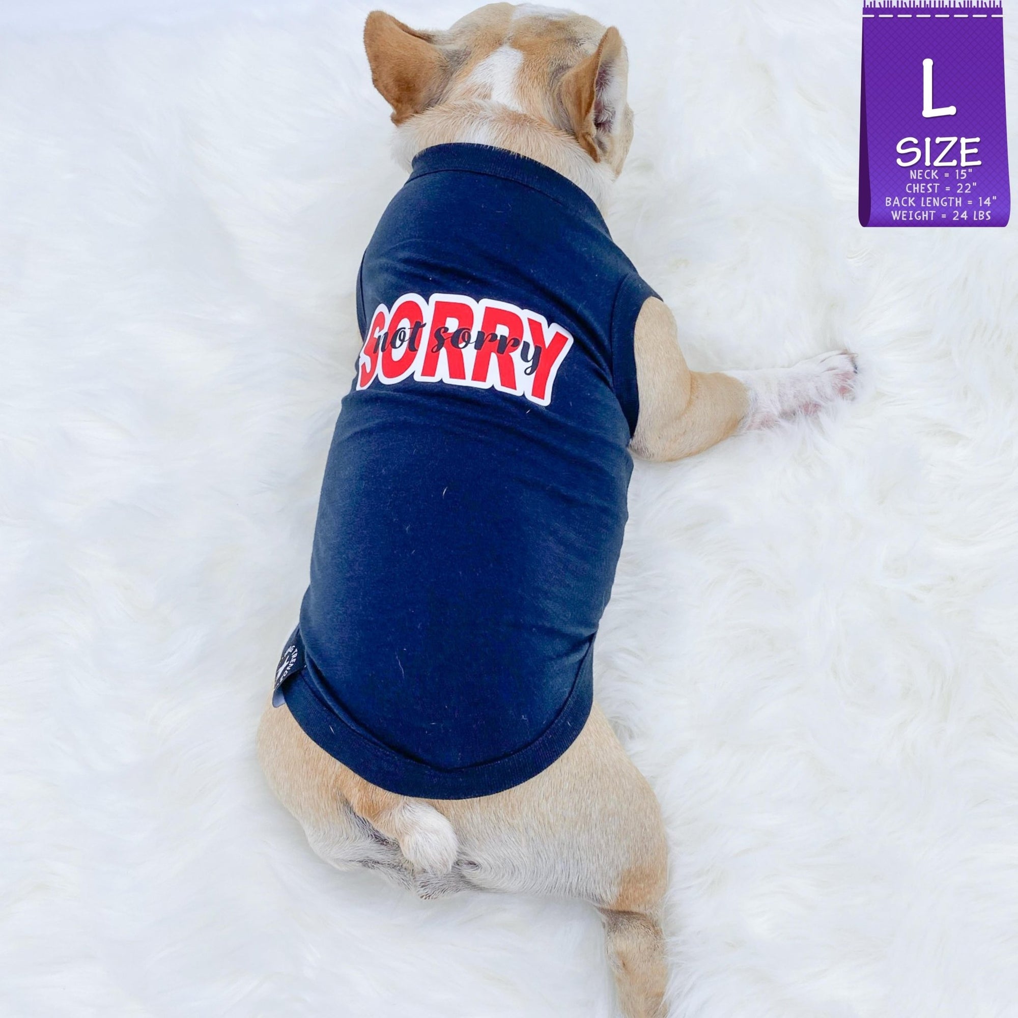 Dog T-Shirt - French Bulldog wearing &quot;Sorry Not Sorry&quot; black dog t-shirt with red and white lettering on back - against solid white background - Wag Trendz