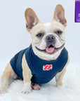 Dog T-Shirt - French Bulldog wearing "Sorry Not Sorry" black dog t-shirt with red and white hashtag emoji on chest - against solid white background - Wag Trendz