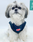Dog T-Shirt - Shih Tzu mix wearing "Sorry Not Sorry" black dog t-shirt with red and white hashtag emoji on chest - against solid white background - Wag Trendz