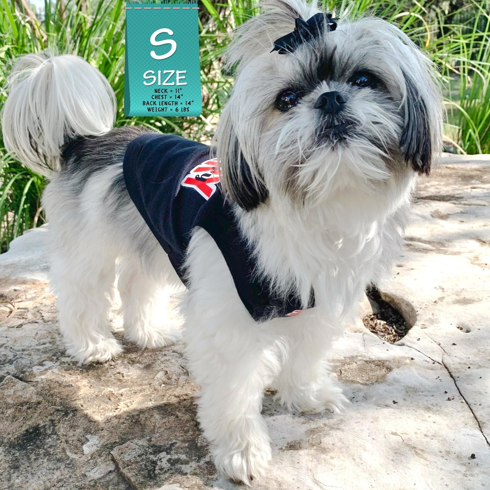 Dog T-Shirt - Shih Tzu mix wearing &quot;Sorry Not Sorry&quot; black dog t-shirt with red and white hashtag emoji on chest red and white lettering on back- standing outdoors on a rock - Wag Trendz