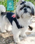 Dog T-Shirt - Shih Tzu mix wearing "Sorry Not Sorry" black dog t-shirt with red and white hashtag emoji on chest red and white lettering on back- standing outdoors on a rock - Wag Trendz