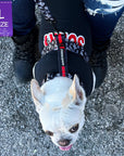 Dog T-Shirt - French Bulldog wearing "Sorry Not Sorry" black dog t-shirt with red and white lettering on back - standing outdoors in a parking lot wearing XO H harness and matching leash in black, white and red - Wag Trendz