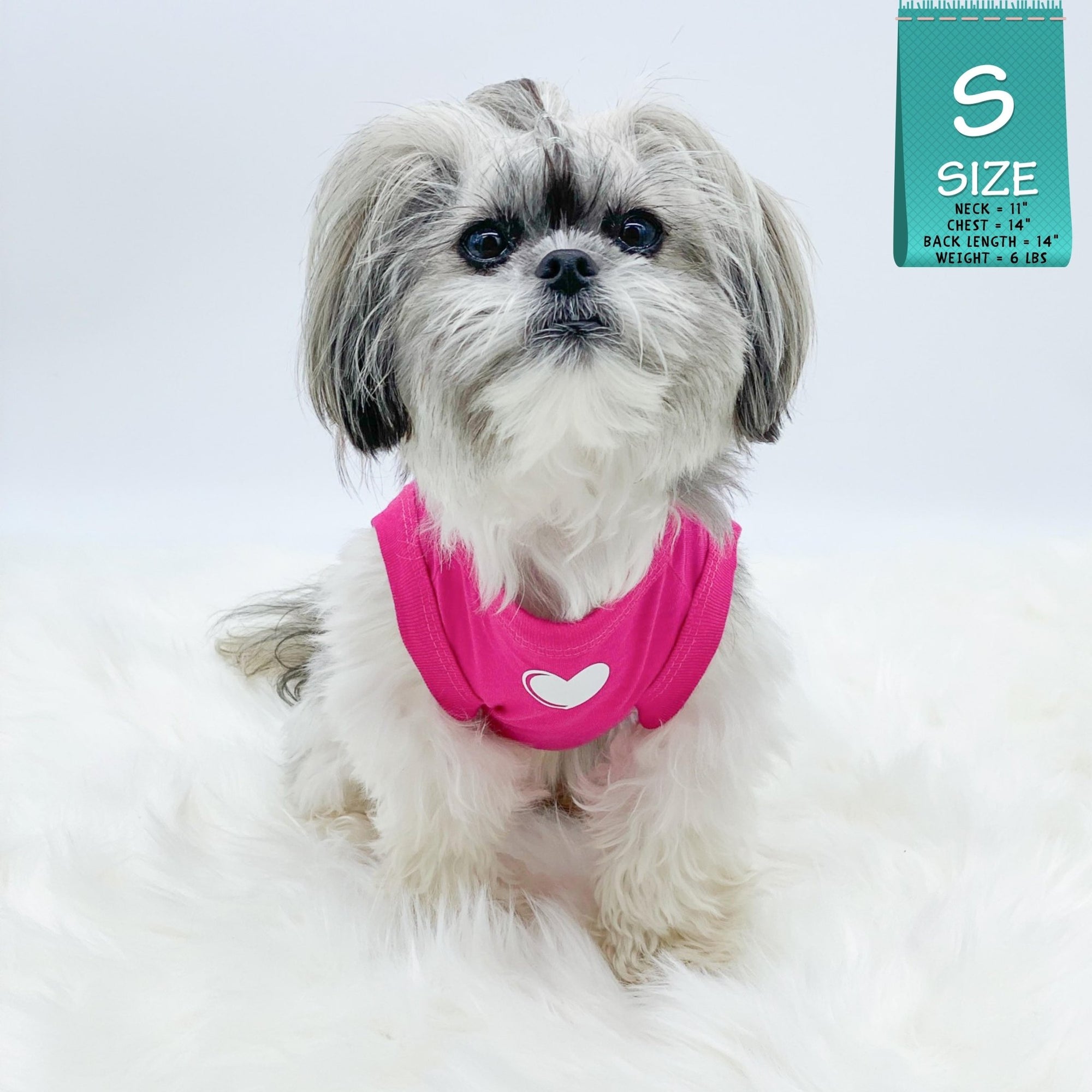 Dog T-Shirt - Shih Tzu mix wearing &quot;Spoiled&quot; dog t-shirt in hot pink with a solid white heart emoji on chest - against solid white background - Wag Trendz