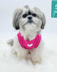 Dog T-Shirt - Shih Tzu mix wearing "Spoiled" dog t-shirt in hot pink with a solid white heart emoji on chest - against solid white background - Wag Trendz