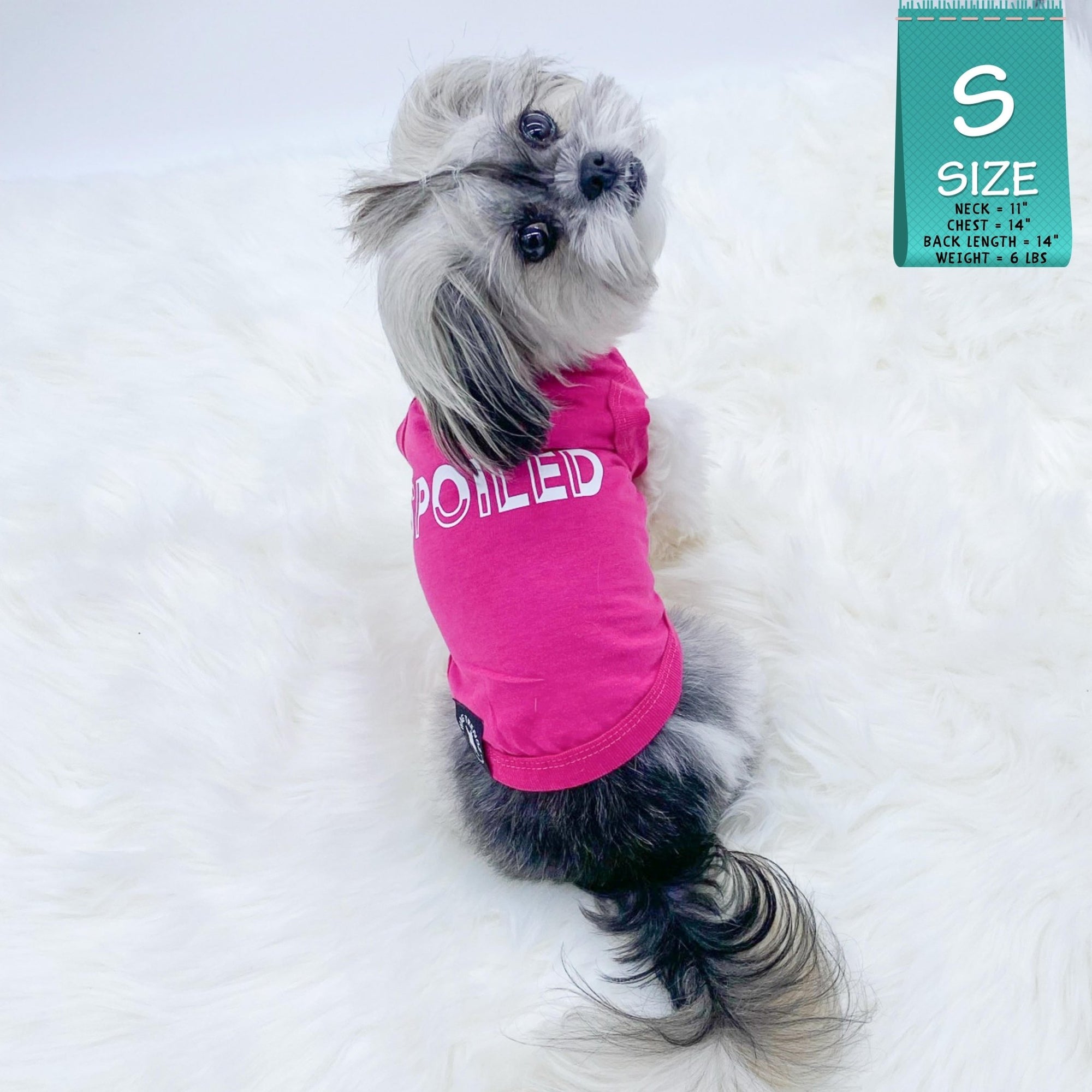 Dog T-Shirt - Shih Tzu mix wearing &quot;Spoiled&quot; dog t-shirt in hot pink with SPOILED lettering in white - against solid white background - Wag Trendz