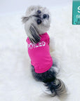 Dog T-Shirt - Shih Tzu mix wearing "Spoiled" dog t-shirt in hot pink with SPOILED lettering in white - against solid white background - Wag Trendz