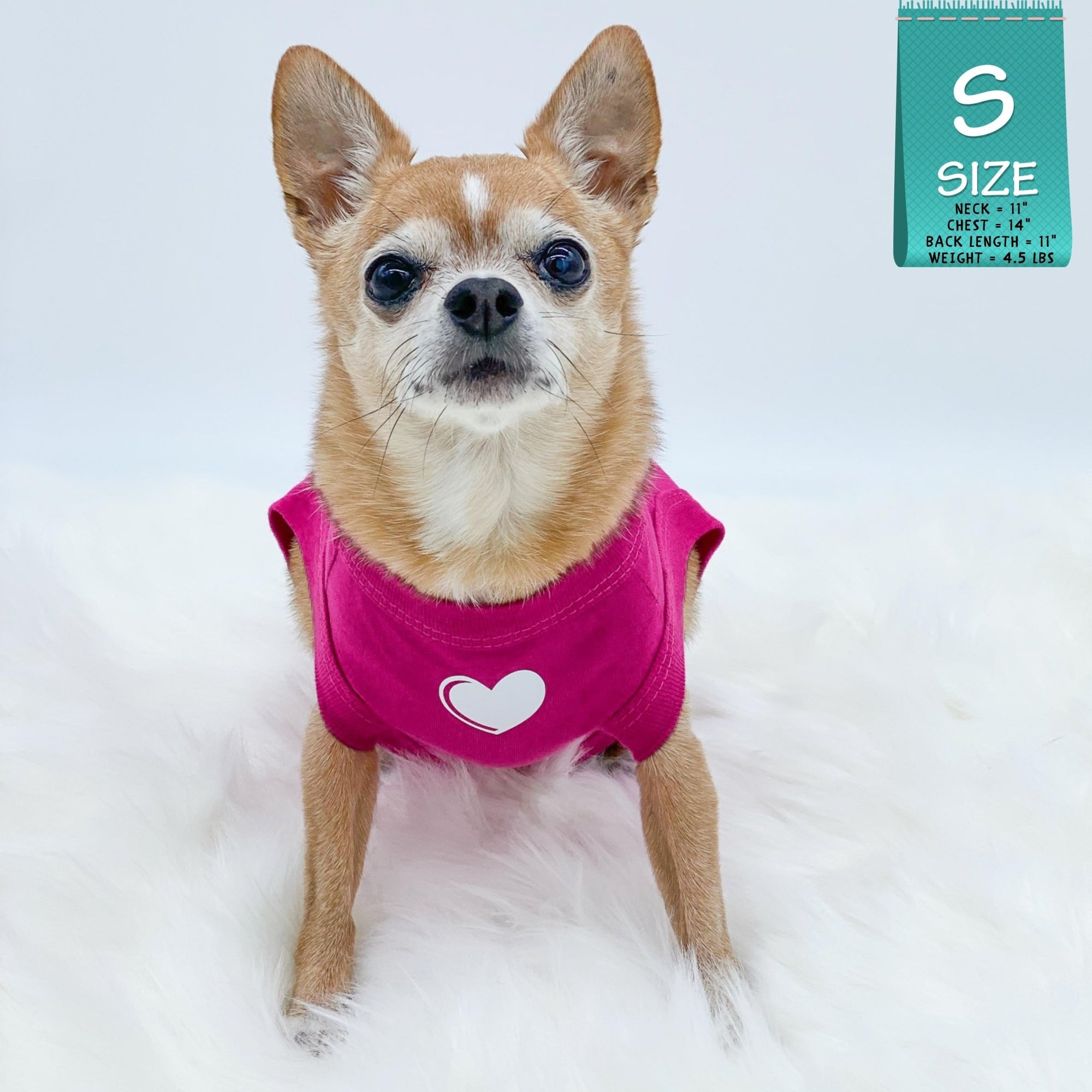 Dog T-Shirt - Chihuahua wearing &quot;Spoiled&quot; dog t-shirt in hot pink with a solid white heart emoji on chest - against solid white background - Wag Trendz