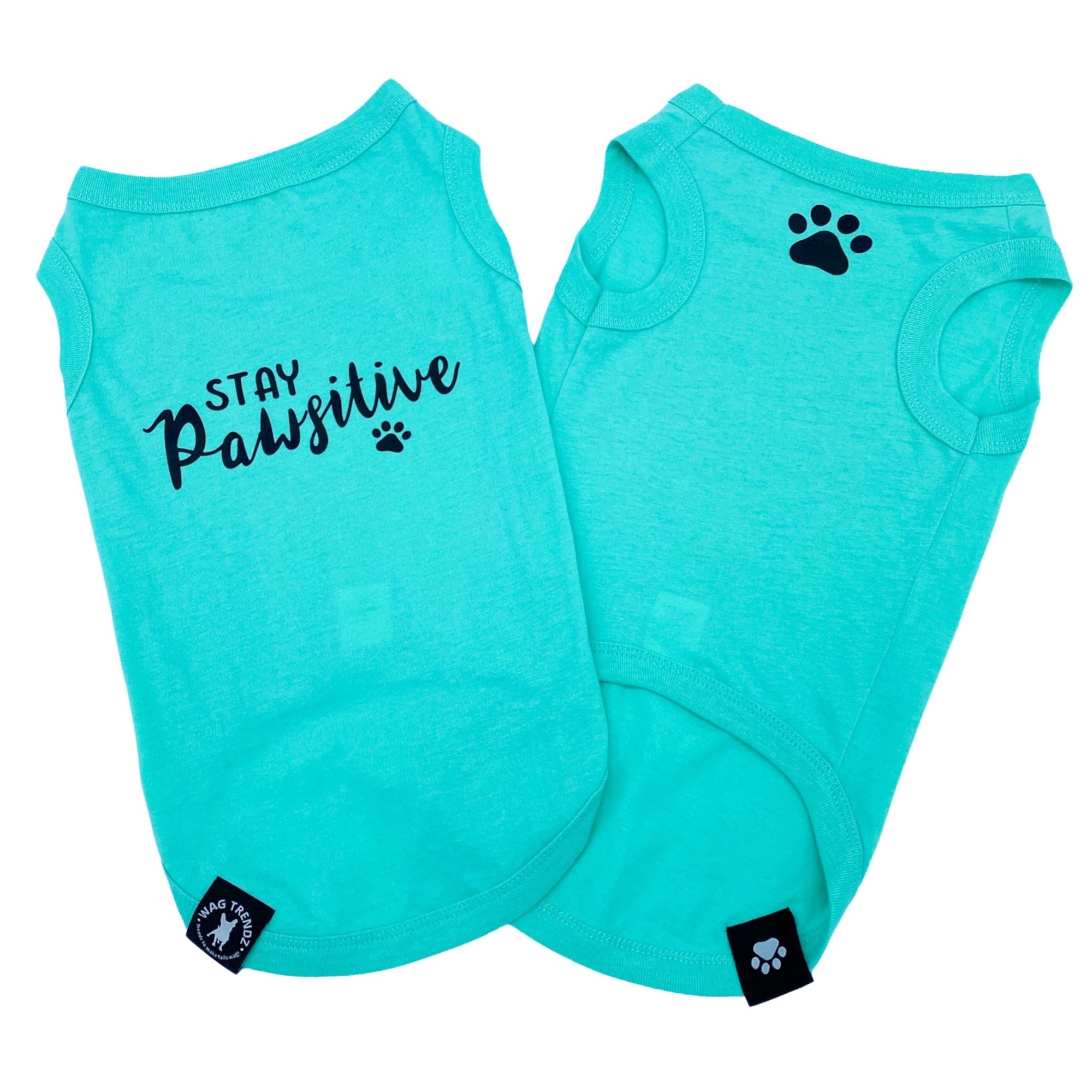 Dog T-Shirt - &quot;Stay Pawsitive&quot; - Teal dog t-shirt set - Stay Pawsitive lettering in black with paw print and a paw print emoji in black on chest - against solid white background - Wag Trendz