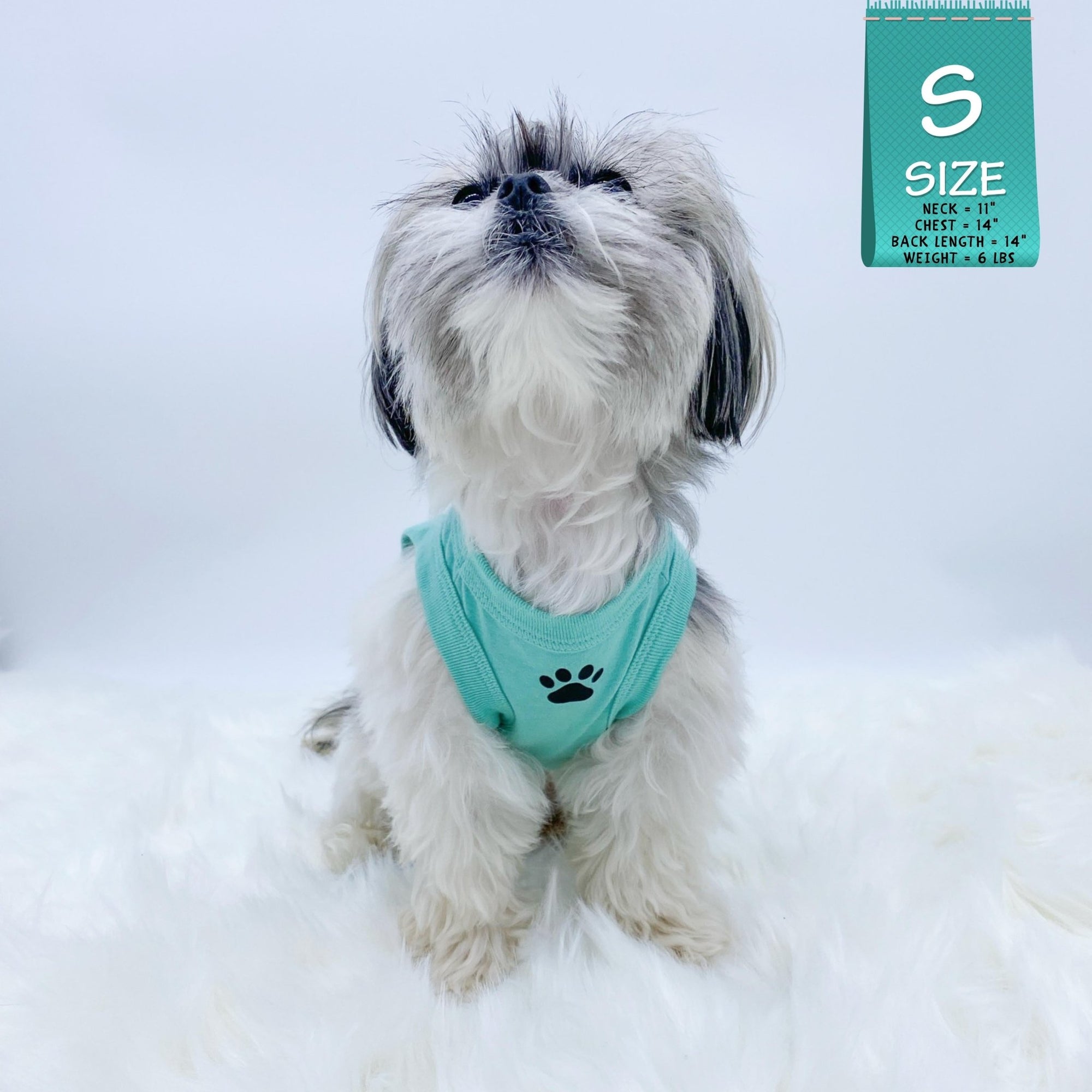 Dog T-Shirt - Shih Tzu mix looking up wearing &quot;Stay Pawsitive&quot; teal dog t-shirt - with a paw print emoji in black on chest - against solid white background - Wag Trendz