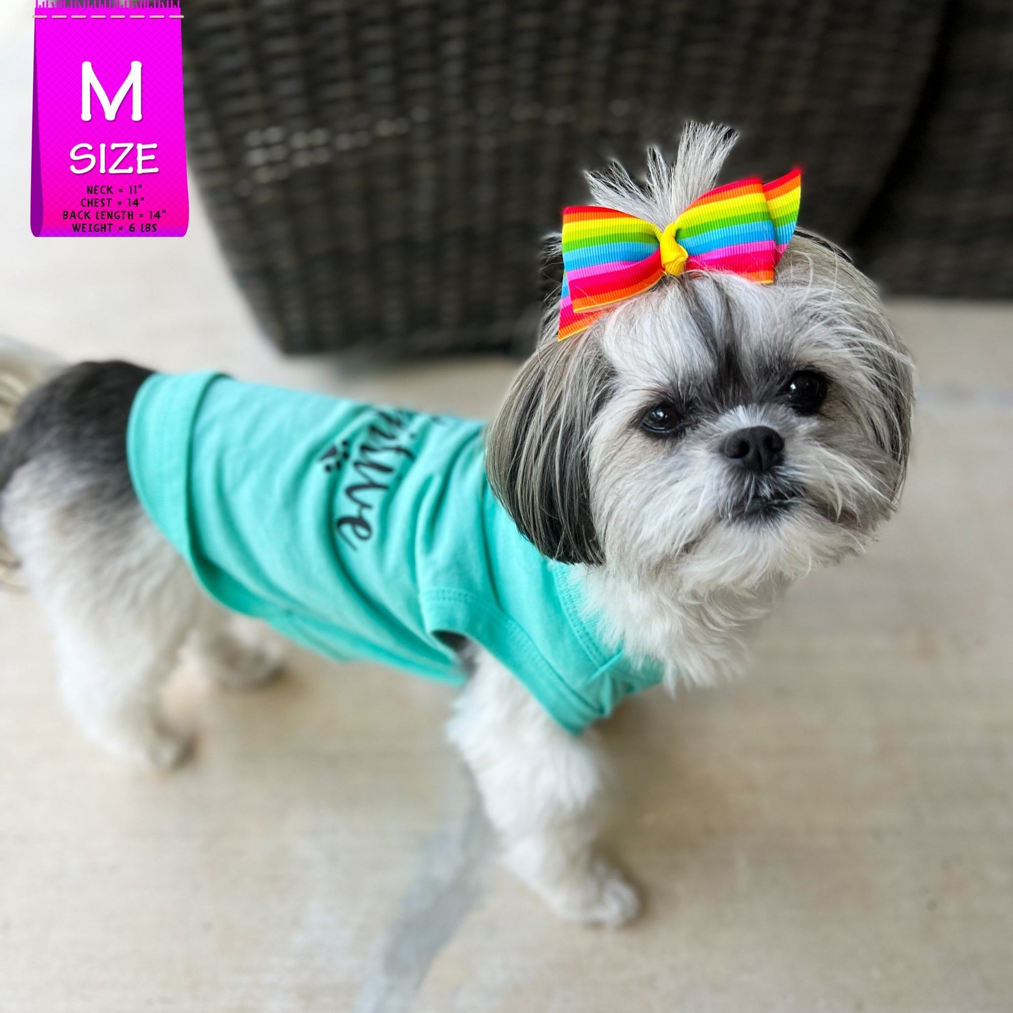 Dog T-Shirt - Shih Tzu mix wearing &quot;Stay Pawsitive&quot; teal dog t-shirt - with &quot;Stay Pawsitive&quot; lettering in black on back and a paw print emoji in black on chest - standing outdoors on a patio and wearing a colorful bow in her hair  - Wag Trendz