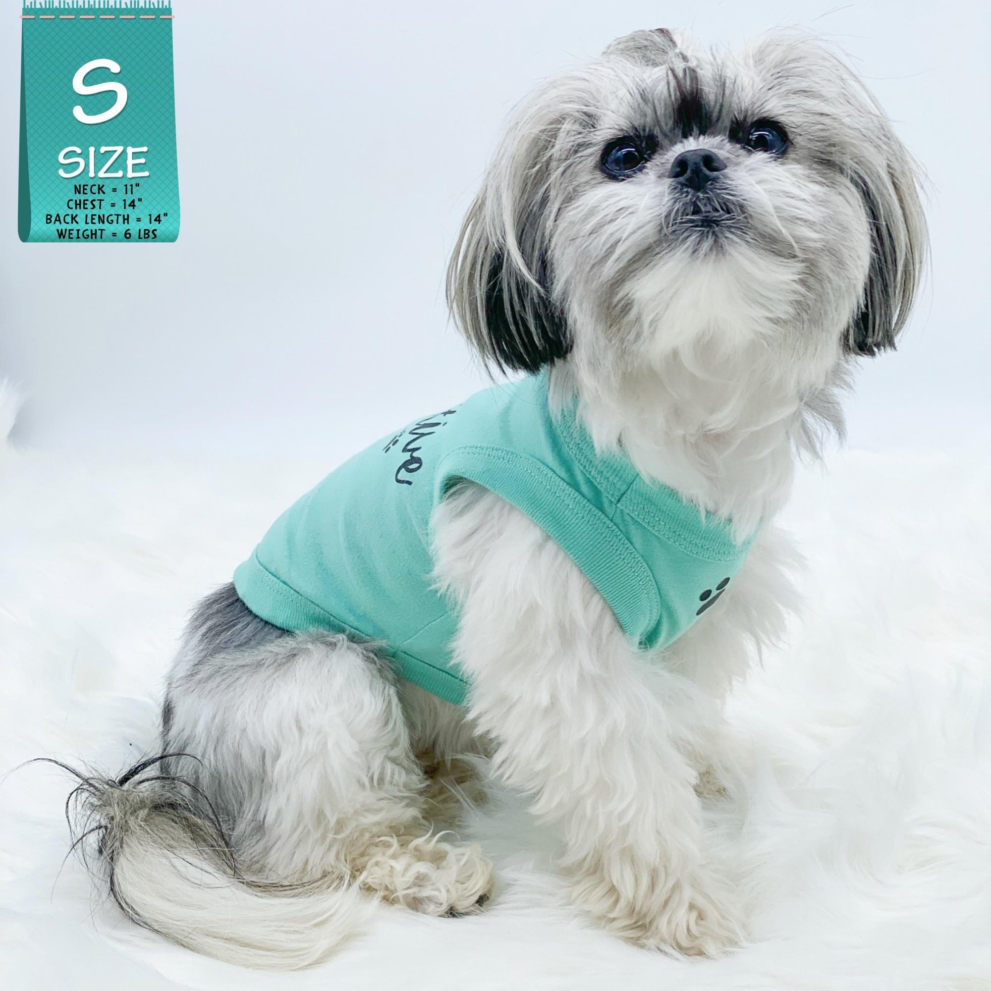 Dog T-Shirt - Shih Tzu mix wearing &quot;Stay Pawsitive&quot; teal dog t-shirt - with &quot;Stay Pawsitive&quot; lettering in black on back and a paw print emoji in black on chest - against solid white background - Wag Trendz