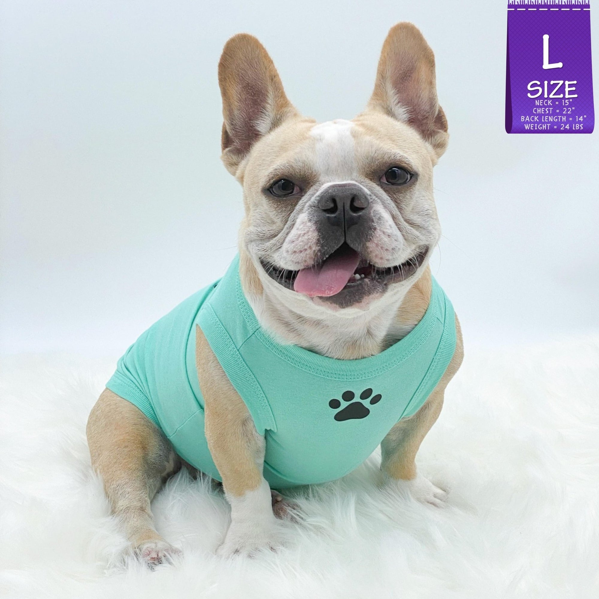 Dog T-Shirt - French Bulldog wearing &quot;Stay Pawsitive&quot; teal dog t-shirt - with paw print emoji in black on chest - against solid white background - Wag Trendz
