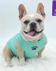 Dog T-Shirt - French Bulldog wearing "Stay Pawsitive" teal dog t-shirt - with paw print emoji in black on chest - against solid white background - Wag Trendz