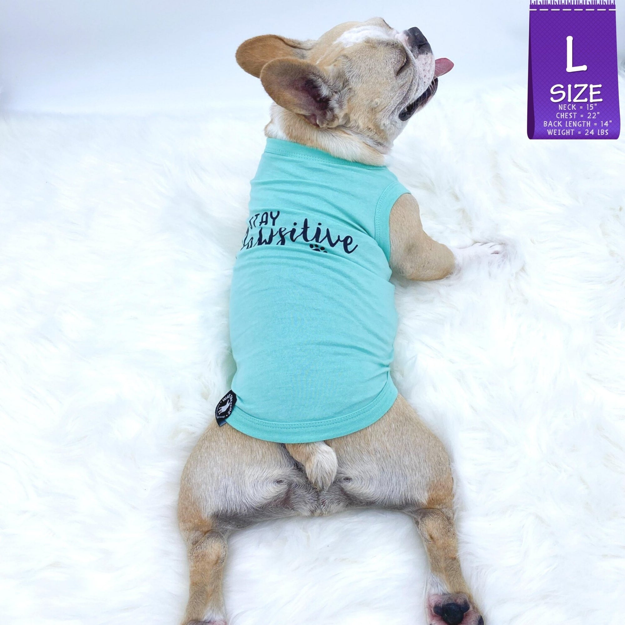 Dog T-Shirt - French Bulldog laying down panting wearing &quot;Stay Pawsitive&quot; teal dog t-shirt - with &quot;Stay Pawsitive&quot; lettering in black on back - against solid white background - Wag Trendz