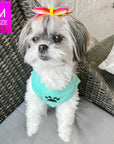 Dog T-Shirt - Shih Tzu mix sitting up wearing "Stay Pawsitive" teal dog t-shirt - with a paw print emoji in black on chest - sitting outdoors in a chair - Wag Trendz