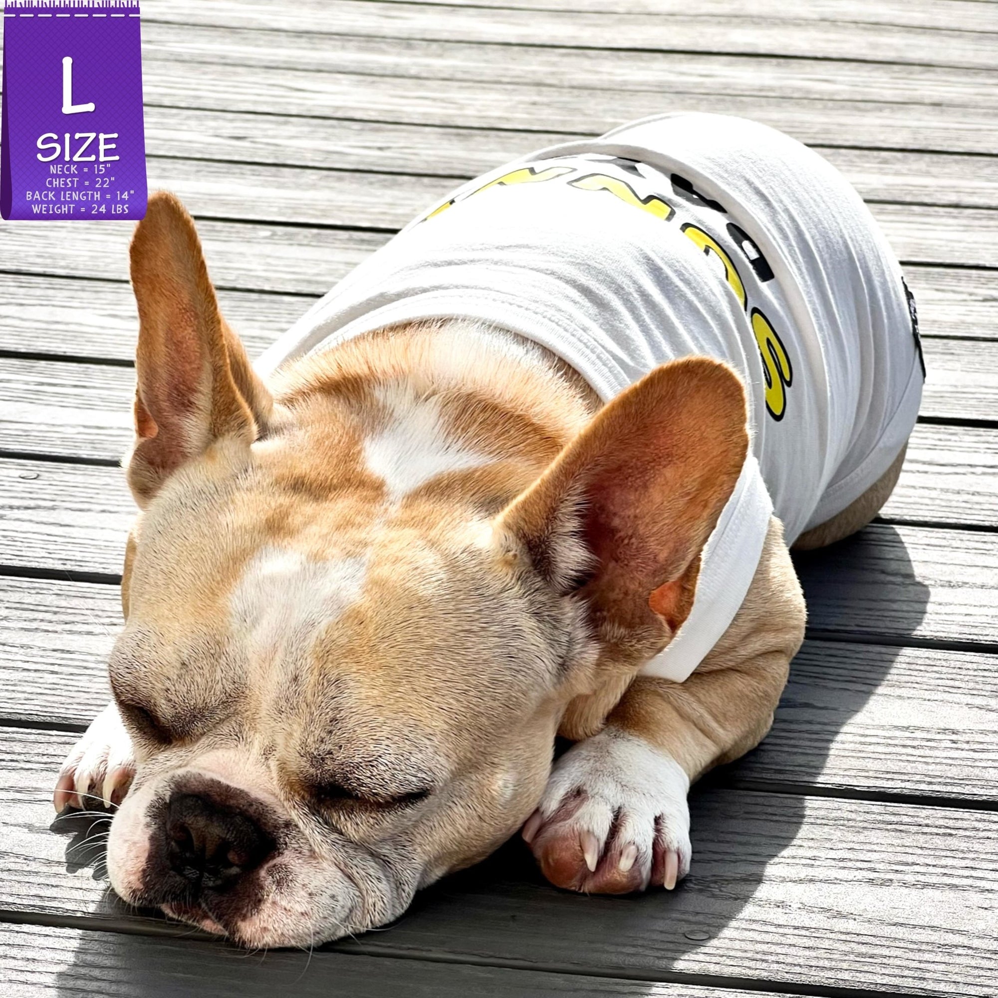 Dog T-Shirt - French Bulldog laying down wearing white &quot;Sunny Days&quot; dog t-shirt - Sunny Days lettering in yellow and black - laying outdoors in the sun on a deck - Wag Trendz
