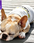 Dog T-Shirt - French Bulldog laying down wearing white "Sunny Days" dog t-shirt - Sunny Days lettering in yellow and black - laying outdoors in the sun on a deck - Wag Trendz