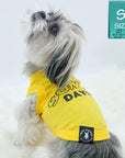 Dog T-Shirt - Shih Tzu mix wearing yellow "Sunny Days" dog t-shirt - Sunny Days lettering in black - against solid white background - Wag Trendz