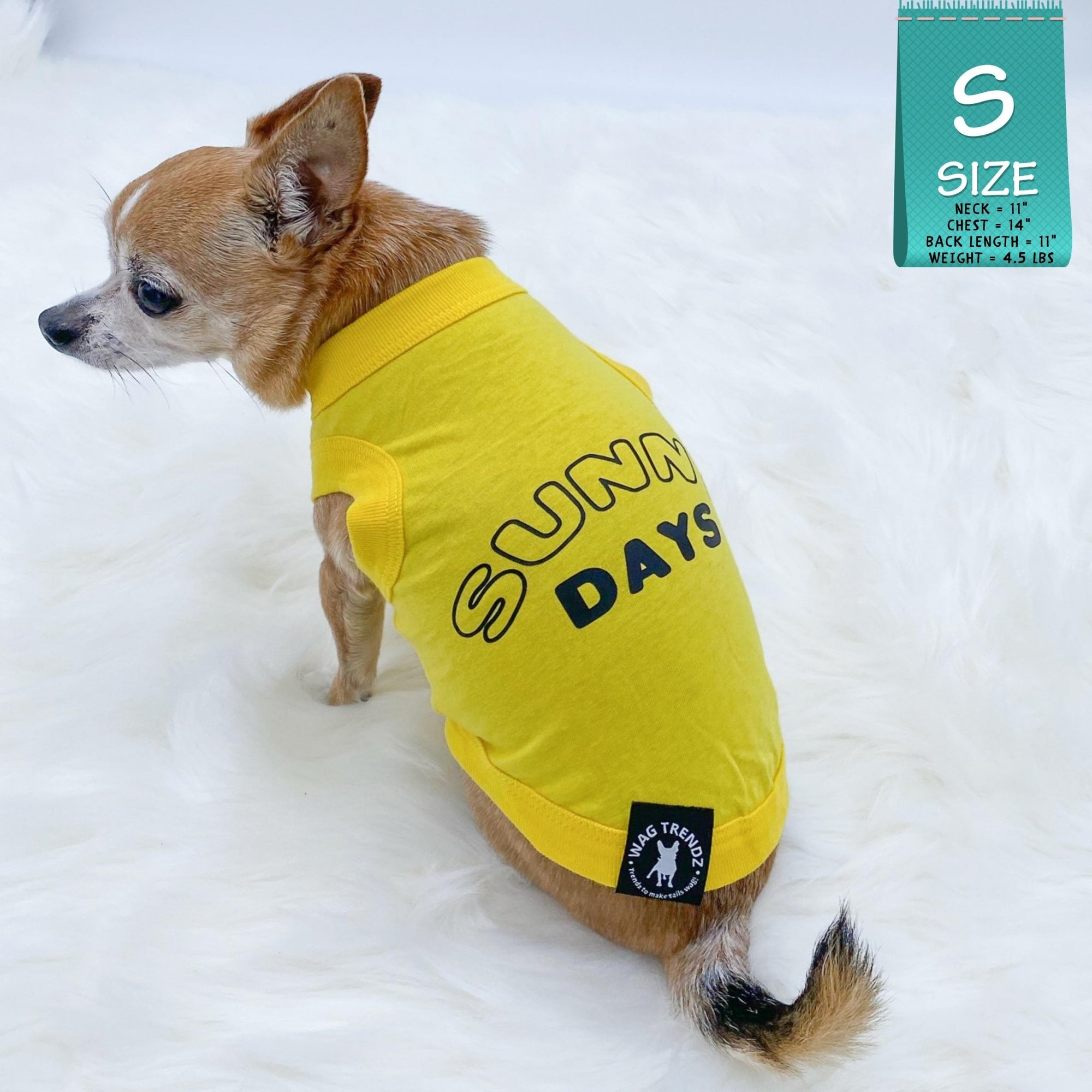 Dog T-Shirt - Chihuahua wearing yellow &quot;Sunny Days&quot; dog t-shirt - Sunny Days lettering in black - against solid white background - Wag Trendz
