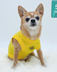 Dog T-Shirt - Chihuahua wearing yellow "Sunny Days" dog t-shirt - modern black sunshine emoji on chest - against solid white background - Wag Trendz