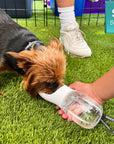 Dog Portable Water Bottle - Yorkie drinking dog portable water - outdoors in the grass - Wag Trendz