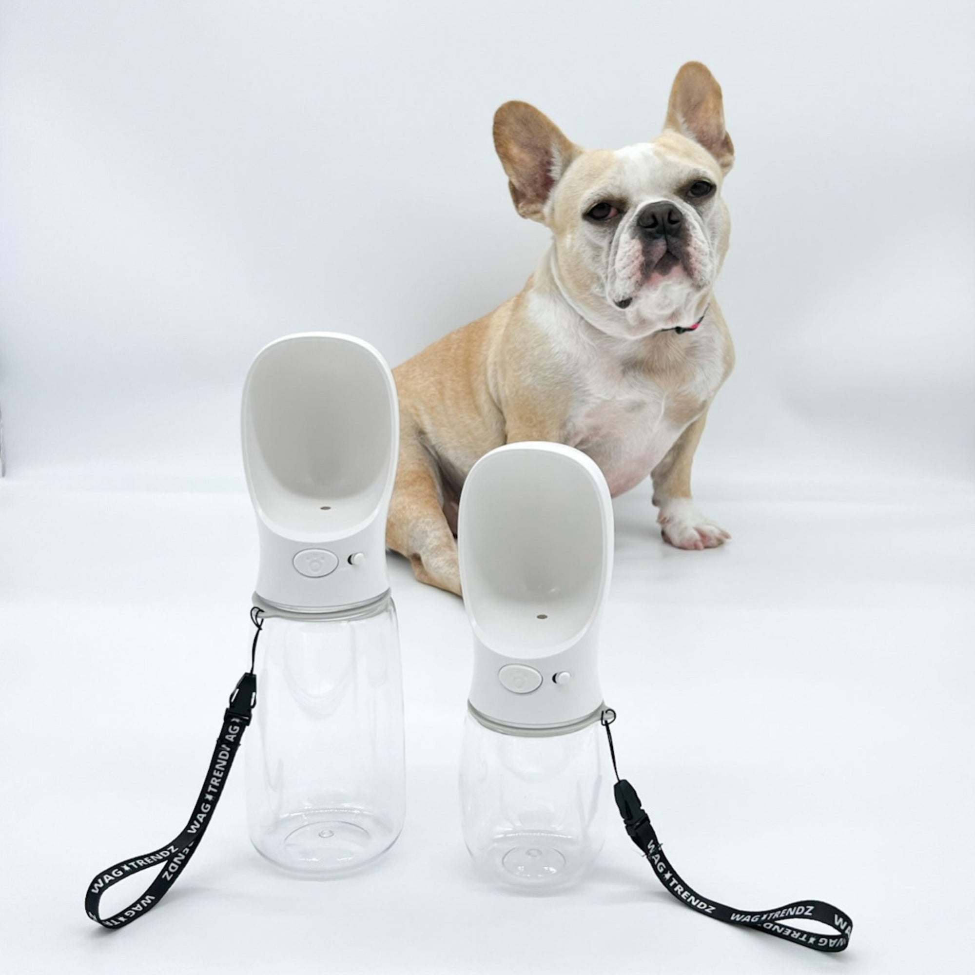 Dog Portable Water Bottle - white with black &amp; white logo strap - large and small with French Bulldog in the background against solid white background - Wag Trendz