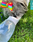 Dog Portable Water Bottle - Small dog drinking dog portable water - outdoors in the grass - Wag Trendz