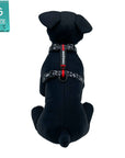 H Dog Harness - Roman Dog Harness - worn by black stuffed dog wearing black and white XO pattern with red accents - against a solid white background - Wag Trendz