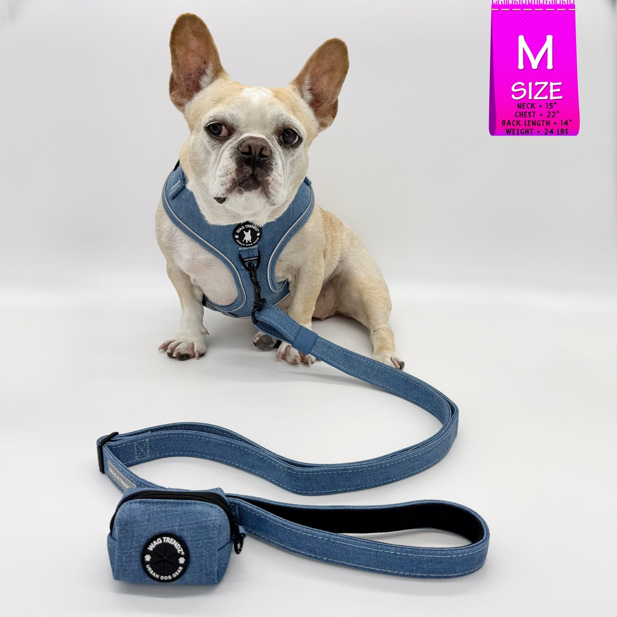 Harness and Leash Set Poop Bag Holder Downtown Denim Wag Trendz