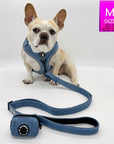 Harness and Leash Set + Poop Bag Holder - French Bulldog wearing a medium Downtown Denim Dog Harness with matching denim dog leash and poop bag holder attached - against a solid white background - Wag Trendz