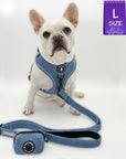 Harness and Leash Set + Poop Bag Holder - French Bulldog wearing a large Downtown Denim Dog Harness with matching denim dog leash and poop bag holder attached - against a solid white background - Wag Trendz