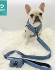 Harness and Leash Set + Poop Bag Holder - French Bulldog wearing a small Downtown Denim Dog Harness with matching denim dog leash and poop bag holder attached - against a solid white background - Wag Trendz