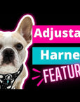 No Pull Dog Harness - with Front Clip for no pull training - product feature videos - Wag Trendz