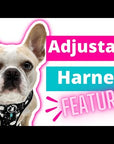 Dog Harness Vests - Dog Harness Front Clip - product feature video - Wag Trendz