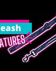 Nylon Dog Leash - video of dog leash features - Wag Trendz
