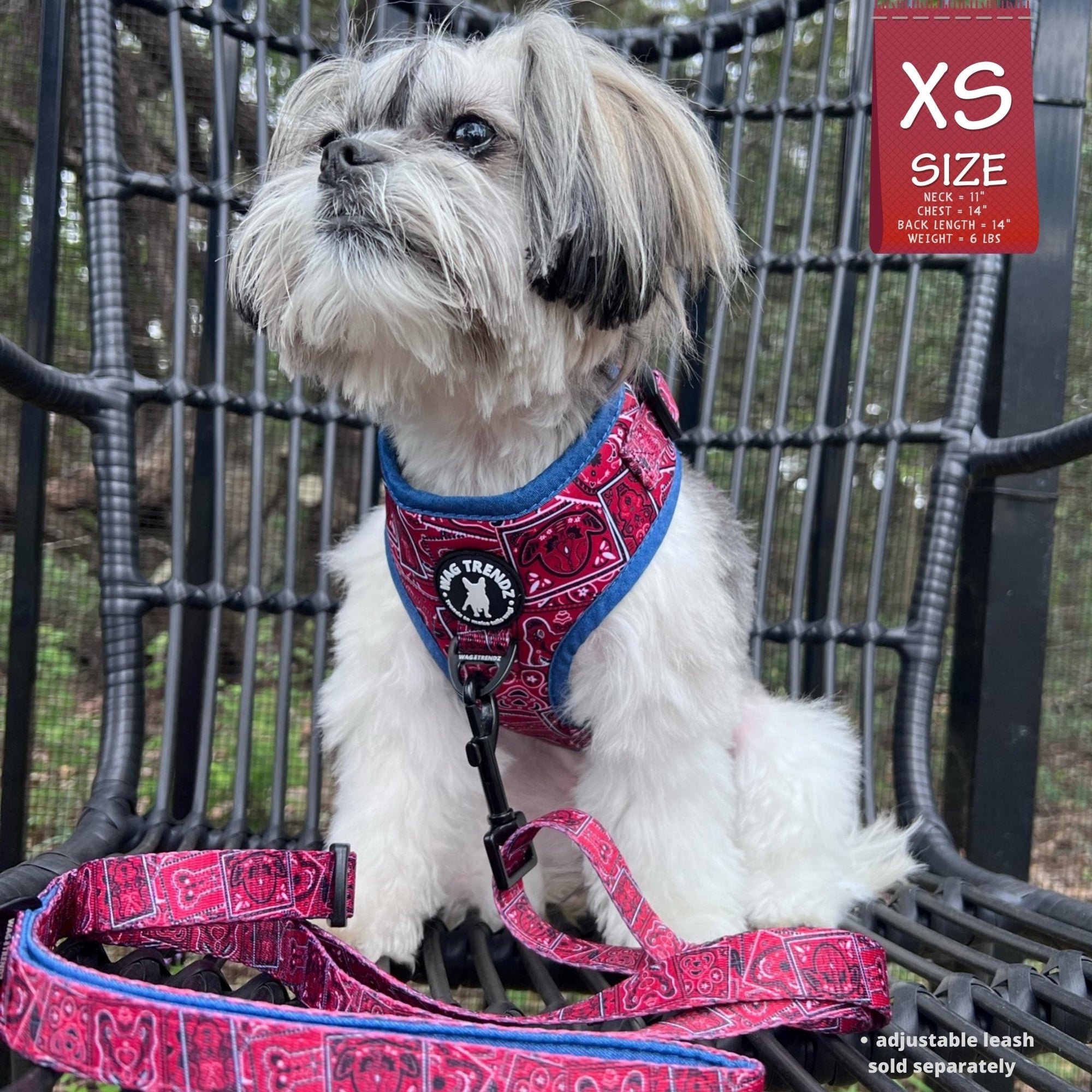 No Pull Dog Harness - Shih Tzu wearing Red Bandana Boujee No Pull Dog Harness with Denim Accents with matching leash attached - sitting outdoors in a black chair  - Wag Trendz