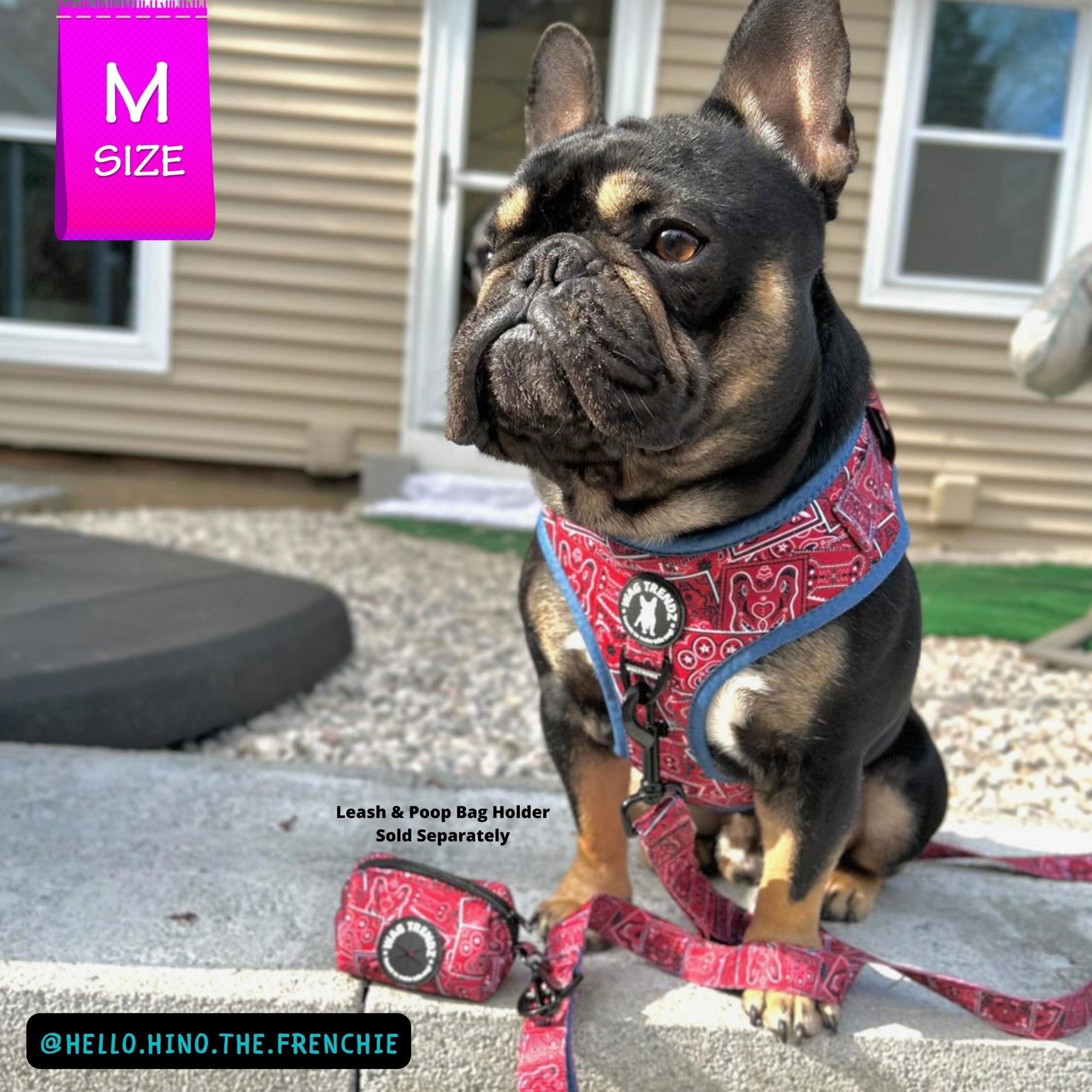 No Pull Dog Harness - French Bulldog wearing Red Bandana Boujee No Pull Dog Harness with Denim Accents - sitting outdoors with brown house in background - Wag Trendz