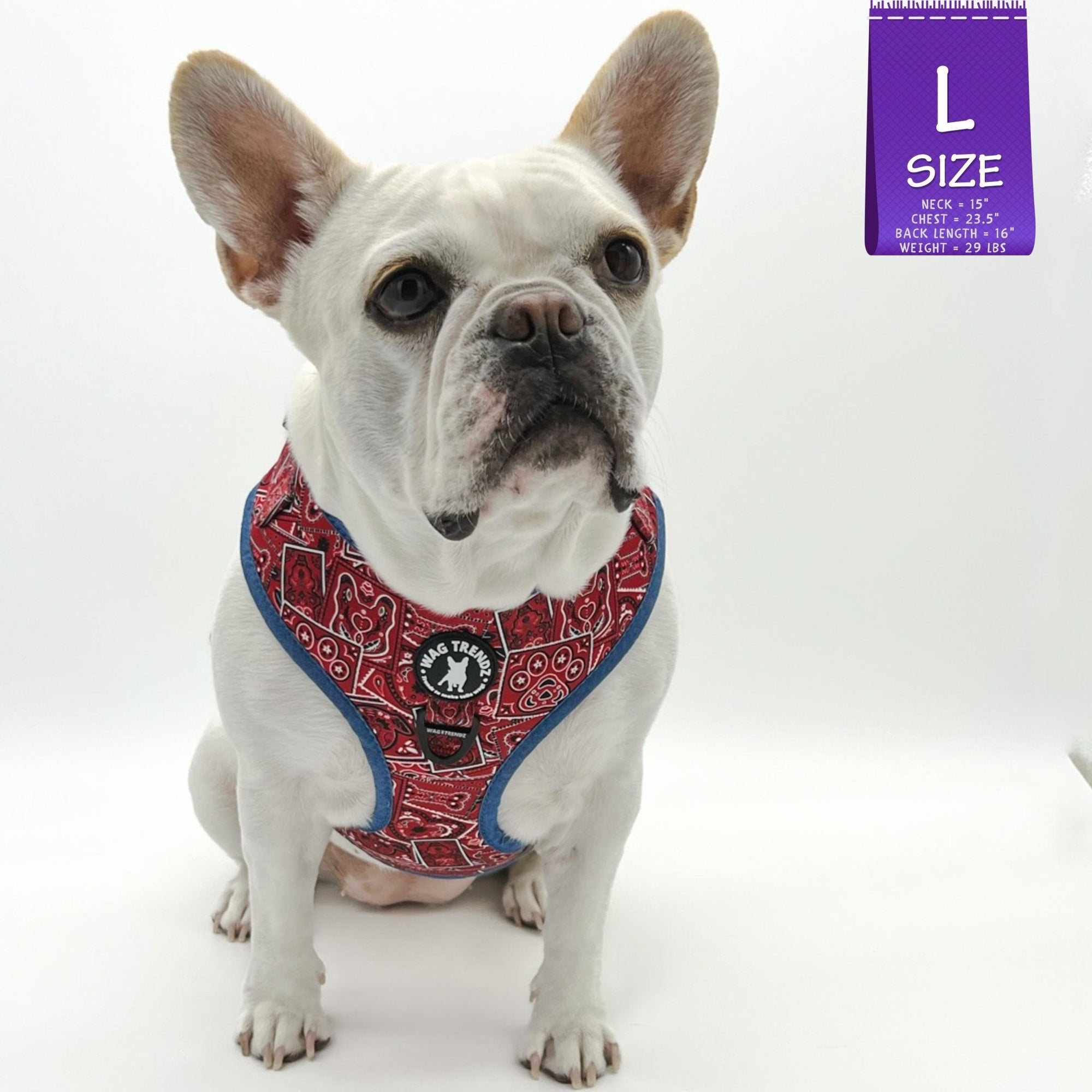 No Pull Dog Harness - French Bulldog wearing Red Bandana Boujee No Pull Dog Harness with Denim Accents - against solid white background - Wag Trendz