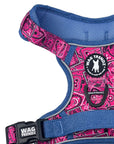 No Pull Dog Harness - with Handle - Bandana Boujee No Pull Dog Harness in Hot Pink with Denim Accents - close-up of back view - against solid white background - Wag Trendz