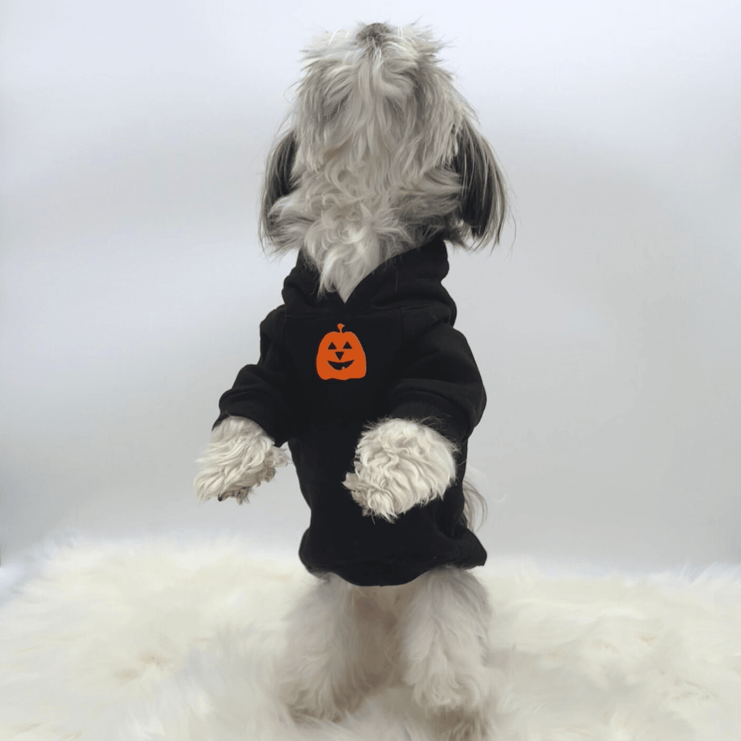 Bark is the new BOO!: 21 dog-human costumes